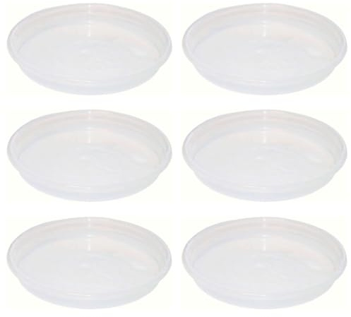 Acan Tradineur - Pack de 6 Platos Transparentes de plástico para Maceta, Bandeja, platillo Redondo para Tiesto de Interior, Exterior, jardín, terraza o balcón, Ø 14,5 cm