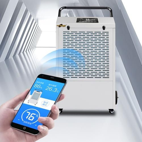 RayGenius DéShumidificateur Domestique à Compresseur, 60 litres/Jour, Efficacité éNergéTique Commerciale, Vidange Continue, RedéMarrage Automatique, Minuterie 24 Heures,Black