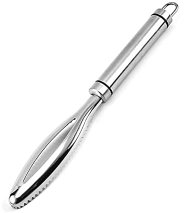 GOODGDN Squamatore Pesce Inox, Squama Pesce in Acciaio, Raschietto per Pesce Strumento da Cucina per Rimuovere Efficacemente Le Squame di Pesce