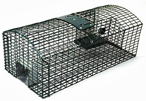 Kieferle Automatische Rattenfalle