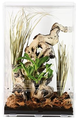 Lucky Reptile LifeTarrium, Größe:15 x 15 x 25 cm