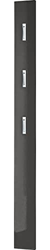Germania Garderobenpaneel 3255-547, mit DREI ausklappbaren Kleiderhaken aus Metall, in Anthrazit Hochglanz, 15 x170 x 3 cm (BxHxT)