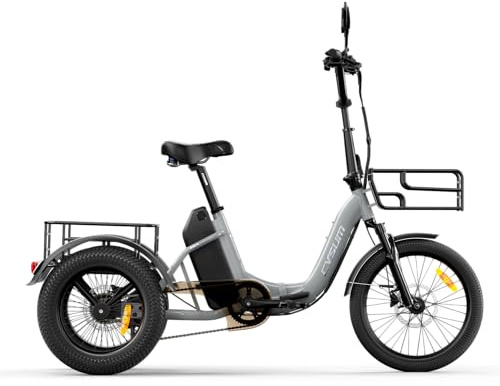 AG1 Pro Velo électrique Homme Femme,16'' Tricycle Electrique Adulte, Batterie 48V 20Ah, 25 km/h et Autonomie de 80 km, Frein à Disque Hydraulique et Différentiel (Gris argenté)