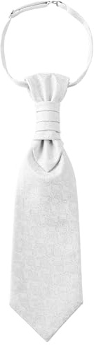 WANYING män plastron slips förbunden med krokstängning justerbar bröllopsslips på bröllop tillbehör för brudgummen – Paisley vit 2, Paisley vit 2, 37 × 10 cm