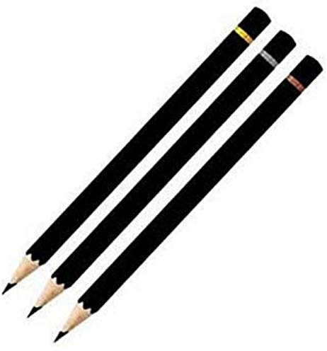 Camlin Charcoal Pencils - Soft (Pack Of 10)
