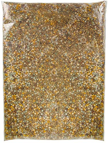 SQUAWK Four Seasons Pigeon Corn | Premium Grade Natural Food Mix | Rich in Nutritious Oils, Vitamins and Minerals | Perfect Year-Round Wild Bird Seed Feed | High in Protein, Energy & Fibre (5kg)