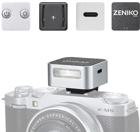 ZENIKO ZF04 Mini Flash,Manual Speedlite for Single Hot Shoe Cameras(Silver)