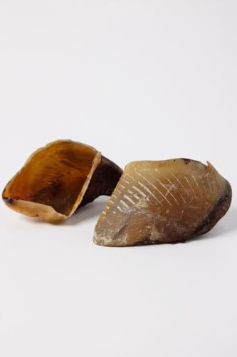 Lot de 5 Sabots De Bœuf XL pour Chiens – Friandise Naturelle 100% Bœuf Séché – Mastication Longue Durée, Santé Dentaire, Réduit Tartre Et Plaque – Idéal Moyens Et Grands Chiens - France Croquette