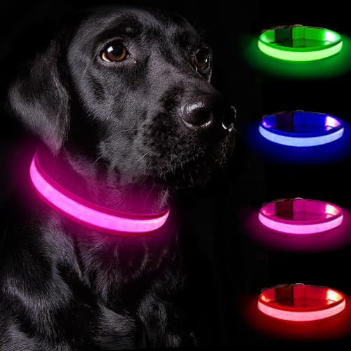 Nepfaivy Collier Lumineux Chien Rechargeable - Collier de Chien Lumineux avec 3 Modes D'éclairage pour Sécurité Nocturne, Collier LED Chien à Longueur Réglable pour Chiens de Taille Moyenne à Grande