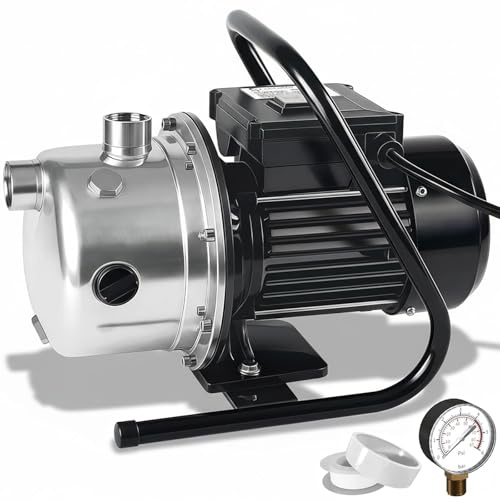 LANCHEZ Shallow Well Pump, Stainless Steel Water Transfer Pump, 115V Garden Irrigation Pump, Water Booster Jet Pump for Home Garden Lawn Farm, Silver