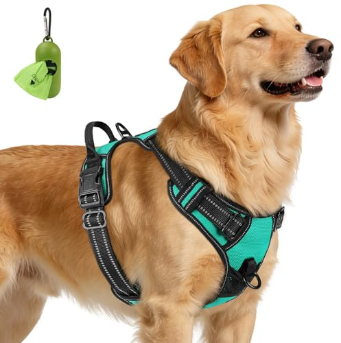 Joytale Anti-Traction Harnais Très Grand Chien, Turqoise, XL