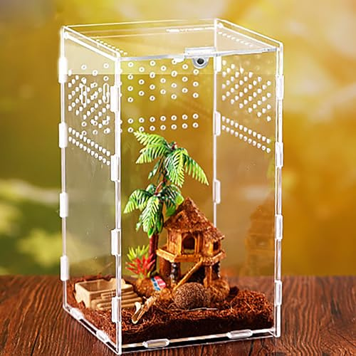 xixibuy Terrario reptiles, Terrario plantas, Terrario insectos, Terrario tortugas de tierra, Caja de alimentación para Reptiles, transparente(acrílico-12*12*20cm)