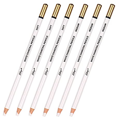 SLXLYH Juego de 6 lápices de carbón blanco para dibujar, ideal para principiantes, artistas, bocetos, sombreado, juego de lápices profesionales borrables con estuche para niños y adultos artistas