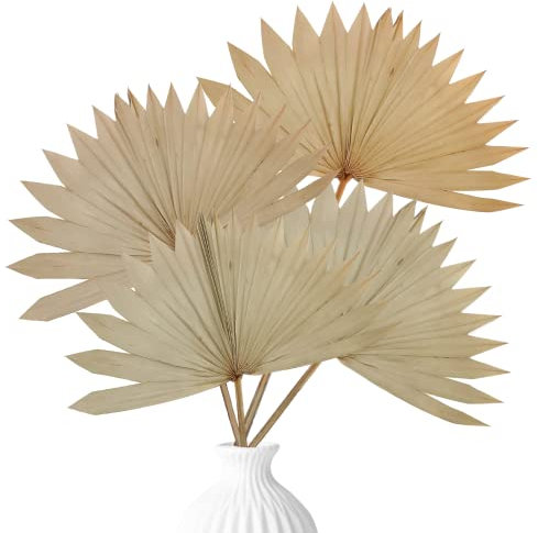 4 piezas de hojas de palma secas naturales grandes decoración abanicos de palma seca arreglos de flores de palma secas frondas de palma secas lanzas de palma decorativas para boda, hogar, ramo de
