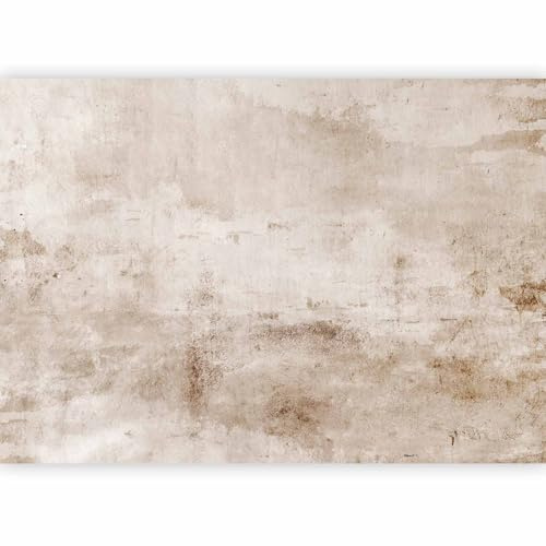 murando - Papier peint panoramique artistique 350x256 cm - Revêtement mural décoration pour chambre salon cuisine - Design unique et moderne - Marron beige - f-A-10103-a-a