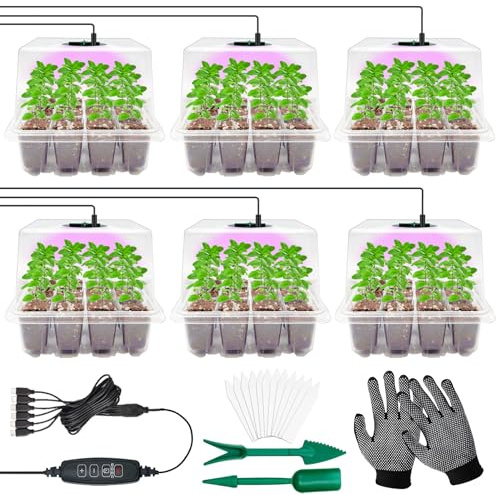 YeahBoom 6 Pièces Mini Serre pour Plantes kit,Bac à semis,Kit de Culture Serre avec LED luminosité réglable,Plateau de Culture pour Plantes Universel intérieur,Serre Semis de Culture avec contrôleur