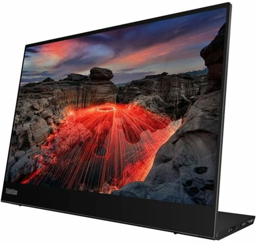 Lenovo ThinkVision M14t 14 Class LED Touchscreen Monitor - 16:10-6 ms - 14 Viewable - Capacitive - 10 Point(s) Multi-Touch Screen - 2240 x 1400 - Full HD - in-Plane Switching (IPS) Technology - 16