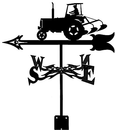 Banderuola da Giardino Banderuola in Acciaio Inox a Forma di Gallo, indicatore di direzione del Vento, Ornamento a Forma di banderuola