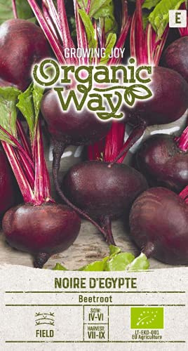 Organic Way | EGIPTO Semillas de REMOLACHA ROJA NEGRA | Semillas de hortalizas | 1 paquete