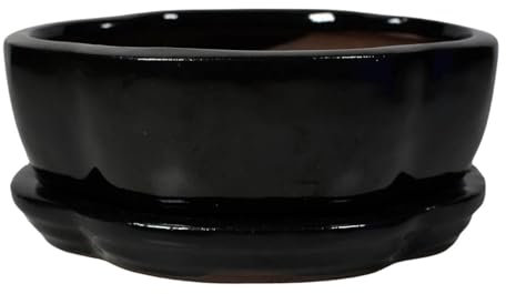 Ceramic Bonsai Pot - 120 x 95 x 45 - Black Oval Bonsai Tree Planter | With a Matching Drip Tray