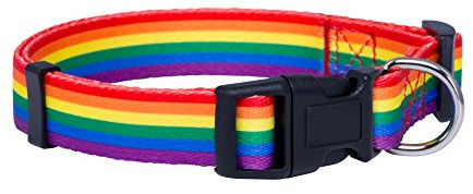 Native Pup Collare per cani con bandiera arcobaleno (grande)