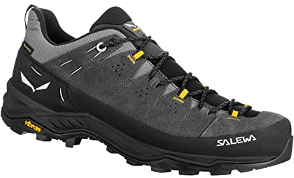 Salewa Herren Alp Trainer 2 Wanderschuhe, Onyx/SCHWARZ, 43 EU