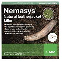Nemasys Leatherjacket Killer nematode treatment (100 sqm)