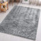 Aspire Homeware Rugs Living Room - Grey Area Rugs for Bedroom Anti Slip - Modern Super Soft Fluffy Shaggy Runner Rug Thick Pile Non Shedding, 60cm x 110 cm