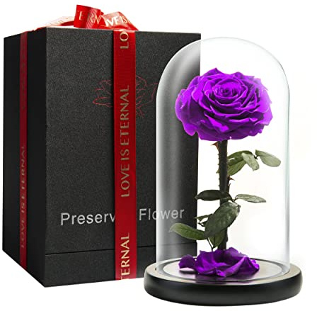 LOVAPPY Forever Preserved Rose - Eternal Rose in Glass Dome - Beauty and the Beast Rose for Mom - Fresh Flowers for Delivery Prime (Purple, 9 Inch)