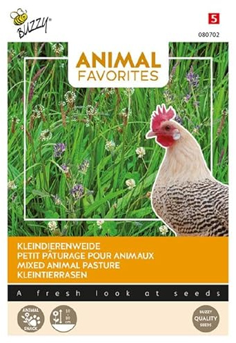 Graines pour Petit patûrage Animaux, Tortue terrestre, Poule, Cochon d'Inde, Lapin