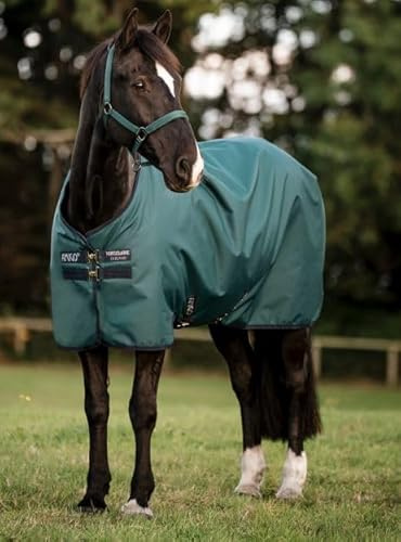 Horseware Amigo Ripstop 900D Lite 0g Turnout Decke Dynasty Green/Navy & Silver, Deckengröße:125 cm / 5´9