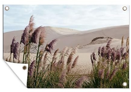 MuchoWow Poster exterieur Herbe de la pampa - Sable - Plantes - Dune Decoration murale 60x40 cm Résistant aux intempéries/soleil
