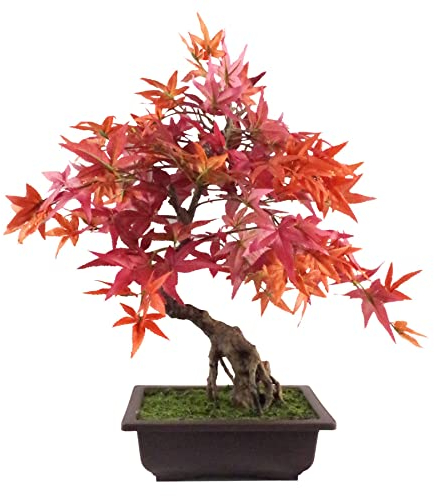 Leaf Artificial Bonsai Tree, 21.7 cm