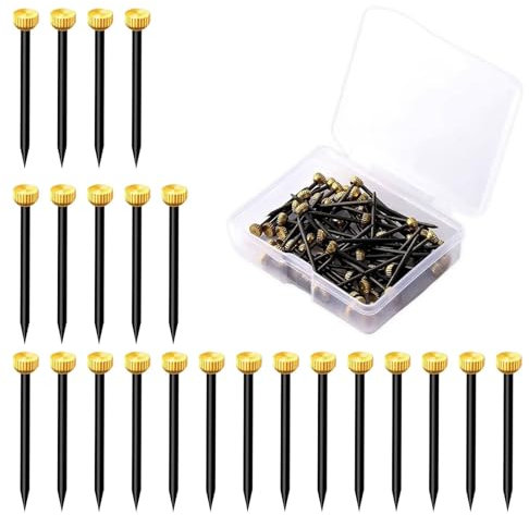 Dreamil - Set di chiodi per quadri 50 pezzi, set di appendiquadri in ottone con scatola di conservazione, set di chiodi e ganci per cornici/tavole per appunti/tele (lunghezza 2,5 cm)