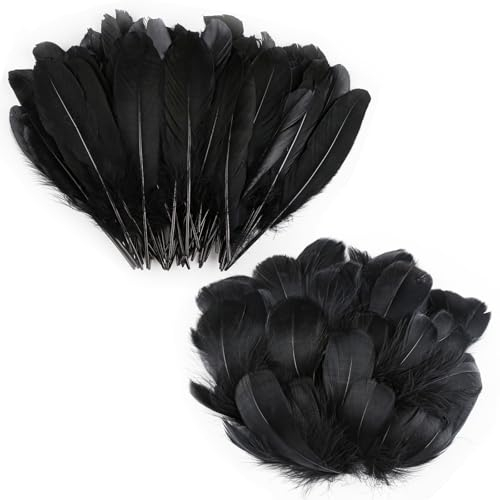 RISF Federn zum Basteln, 200 Stück Schwarze Federn, Bastelfedern Set Feather für Tischdeko, Traumfänger, Ohrring, DIY Basteln, Hochzeit