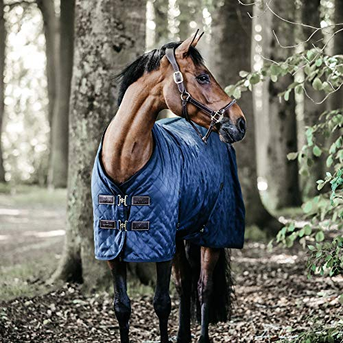 KENTUCKY HORSEWEAR Pferdecke aus hochfestem Polyesterstoff – Stalldecke mit abnehmbaren Bauchgurten, Geeignet als Winterdecke für optimale Wärme oder Turnierdecke & Transportdecke