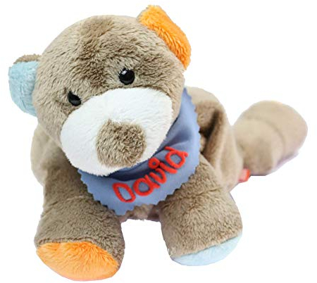 Wärmekissen Wärmetier Bär mit Halstuch und Namen oder Spruch - Personalisiertes Baby Körnerkissen Rapskissen - Körnerkissen Rapskissen