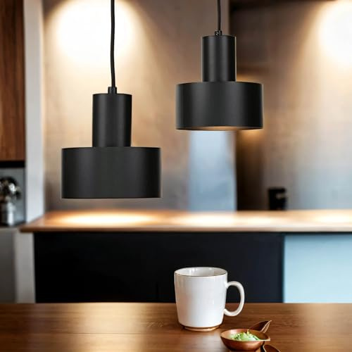 Licht-Erlebnisse Hängelampe Innen Metall schwarz 2-flammig E27 Esszimmer Esstisch B:67cm Beleuchtung Pendelleuchte Industrie Vintage Hängeleuchte