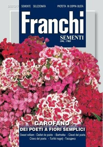 semi garofano dei Poeti a Fiori Semplici Franchi Sementi 2g