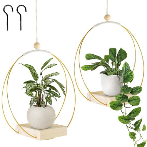 Carseatty 2 Stück Blumenampel Hängend Innen,Metallring mit Holzsockel,Hängetopf für Pflanzen,Hängeampel Blumen,innen Blumentopf & Pflanzgefäß hängend, hängende Blumentöpfe (Aufhängehaken inklusive)
