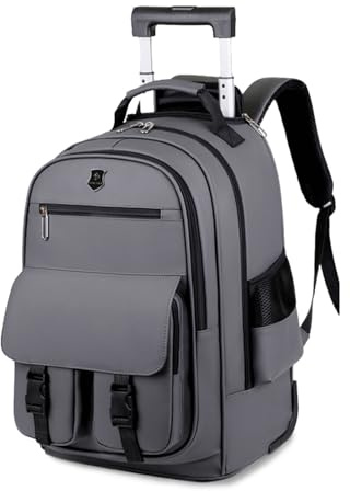 FANDARE Bolsa con Ruedas para Laptop se Adapta a portátiles de hasta 15.6 Pulgadas Hombre Bolso para Maestra Mochila Profesor con Ruedas Mochilas de Trabajo Bolsa Roller para Viajes Negocios Gris