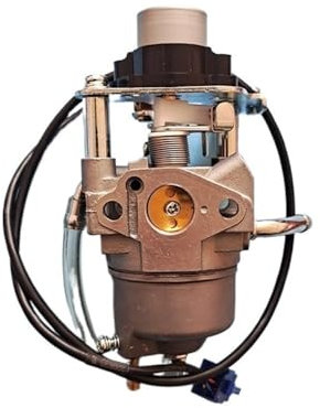 LOOwAH Moteur Pas à Pas à Double Barillet carburé (8 V 4 Fils) ou (12 V 5 Fils) Compatible avec l'onduleur de générateur GP2200i 80 CC 1700 2200 Watts(12V 5 Line)