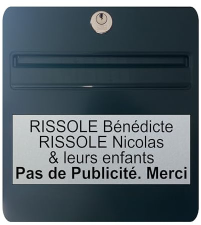 Plaque boite aux lettres personnalisable - 24x10cm - 1 à 6 lignes - adhésive - Nom de famille, Maison, Bureau, Entreprise - Etiquette autocollante - Plaque de porte - Sonnette