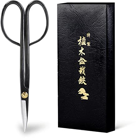 Wazakura Ciseaux Coupe-Brindille à Bonsaï 210mm, Fabriqué au Japon en Acier Carbon, Outil de Jardin Japonais Sécateur Long Manche Noir