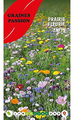 Graines Passion sachet de graines Prairie fleurie Enfys