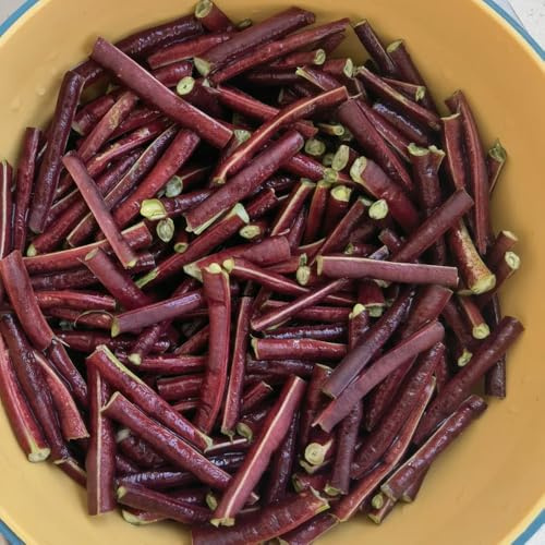 Semillas de frijol medidor, frijol espárrago, variedades antiguas verdes regalos sostenibles exóticas semillas de balcón 85pcs