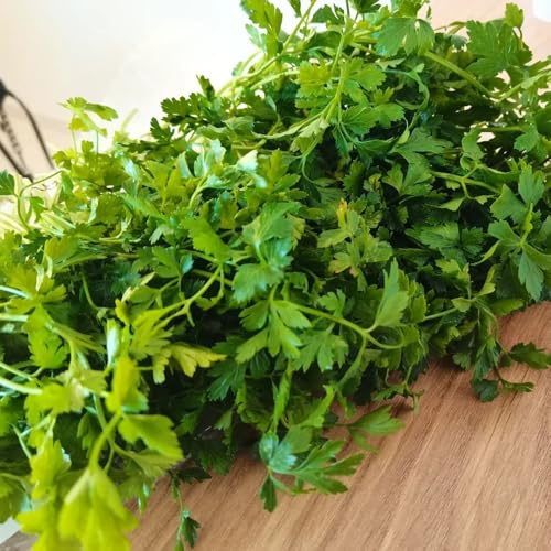 cultivo de berros Semillas de hortalizas y medicinales balcón semillas berro cocina balcón o invernadero exóticas balcones elevados 160semillas