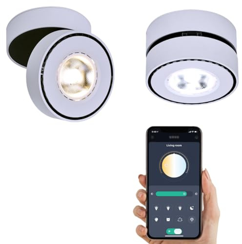 Yodaba Dimmable Art Ceiling Spot Light LED - 360° Adjustable Surface Mounted Dimming 12W COB Lighting Indoor Ceiling Downlight Aluminum Wall Light for Bedrooms Rooms Corridors Gallery Display (White)