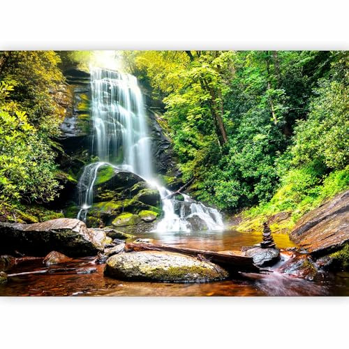 murando Fotomurales autoadhesivo Naturaleza 343x256 cm Papel Pintado Decoración de Pared Murales Pegatina decorativos adhesivos 3d moderna de Diseno Fotográfico 10110903-41