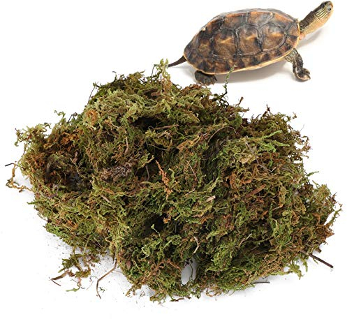 Zerodis Reptilien-Moosmatte, grünes Sphagnum-Moos, Terrarium, Moossubstrat, Dekoration, Reptilienbedarf